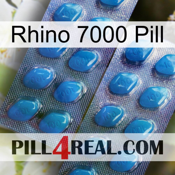 Rhino 7000 Pill viagra2.jpg